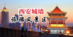 操东北大浪逼骚妇中国陕西-西安城墙旅游风景区