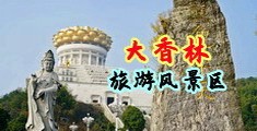 老年人真实操逼视频中国浙江-绍兴大香林旅游风景区